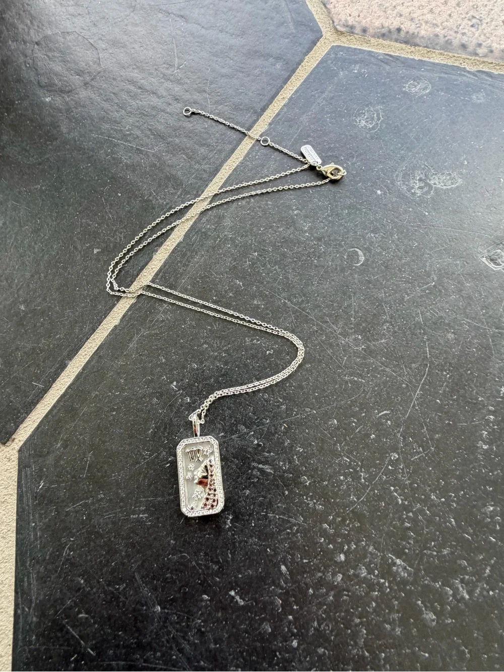Zodiac Amulet Silver Virgo Pendant Necklace adjustable length